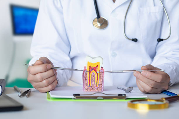 Best Same-Day Emergency Dentist in Baldn, WI